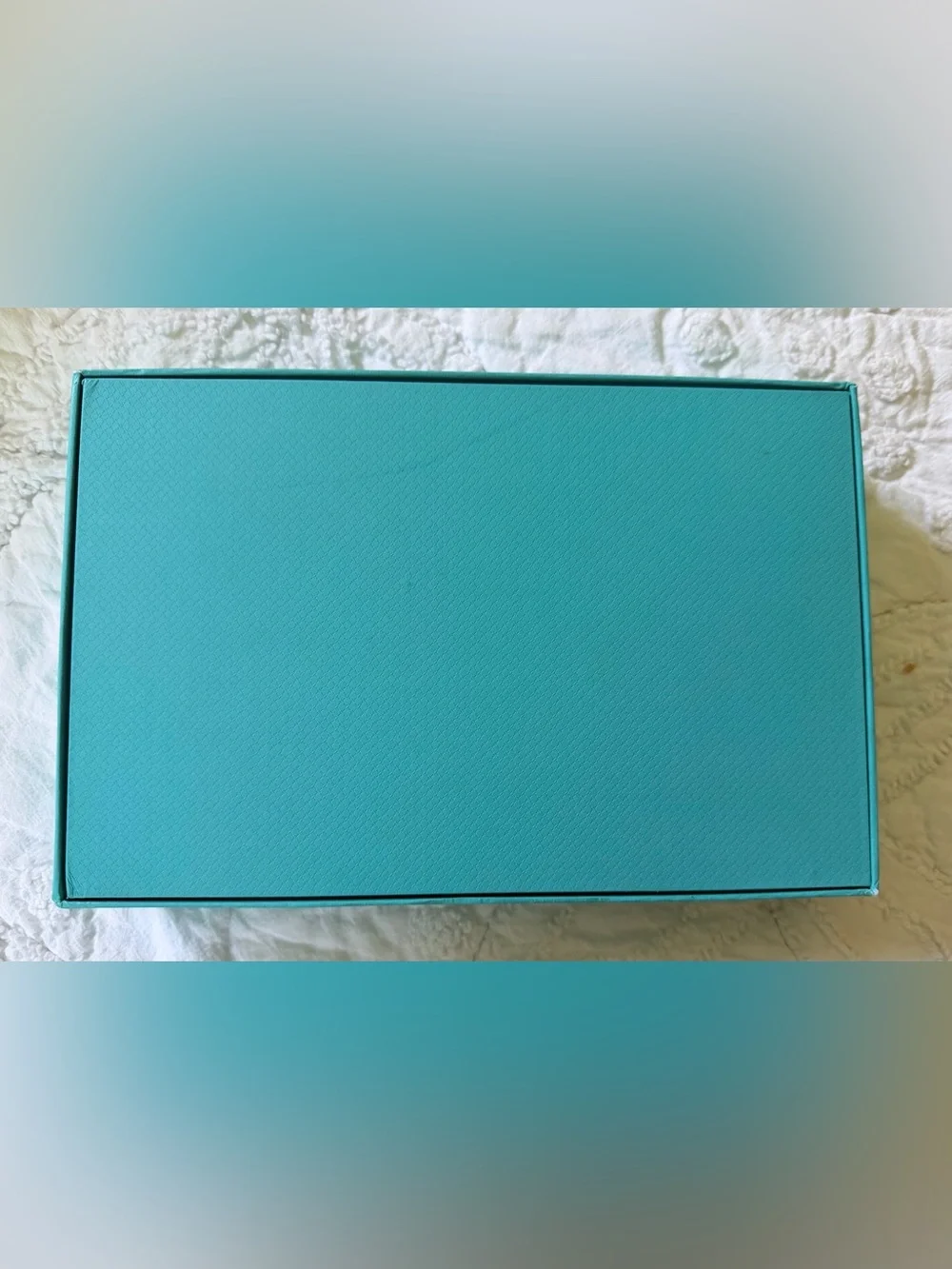 Set of 12 Tiffany & Co Fashion Makeup Brushes NEW in Branded Iridescent Box